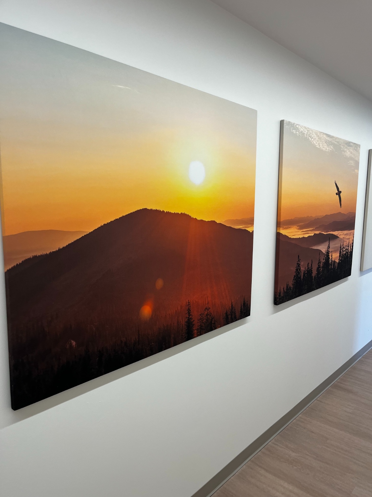 Gallery Img