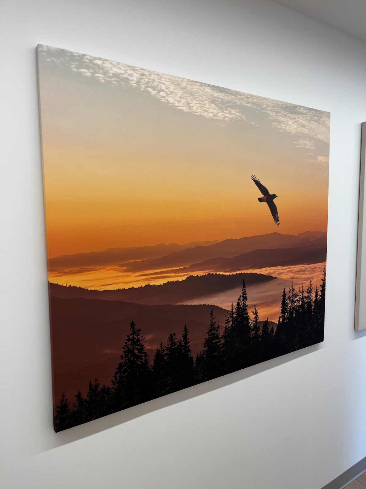 Gallery Img